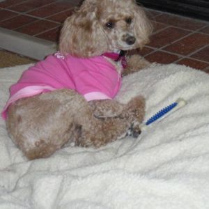 Meet your Posher, Jennifer